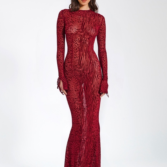 House of CB Other - Miss Circle Waylynn Burgundy Burnout VelvetDetail Mesh Backless Maxi Dress